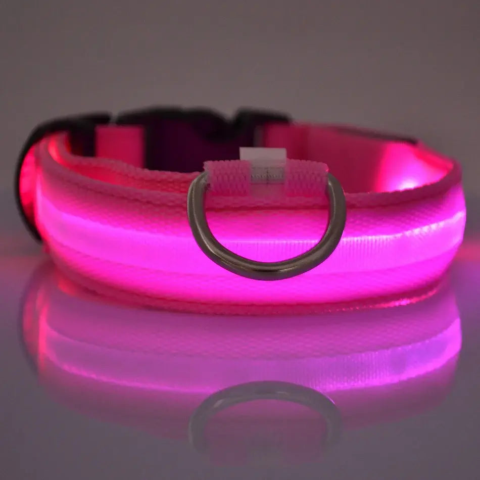 Flashing Dog Collar