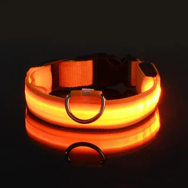 Flashing Dog Collar