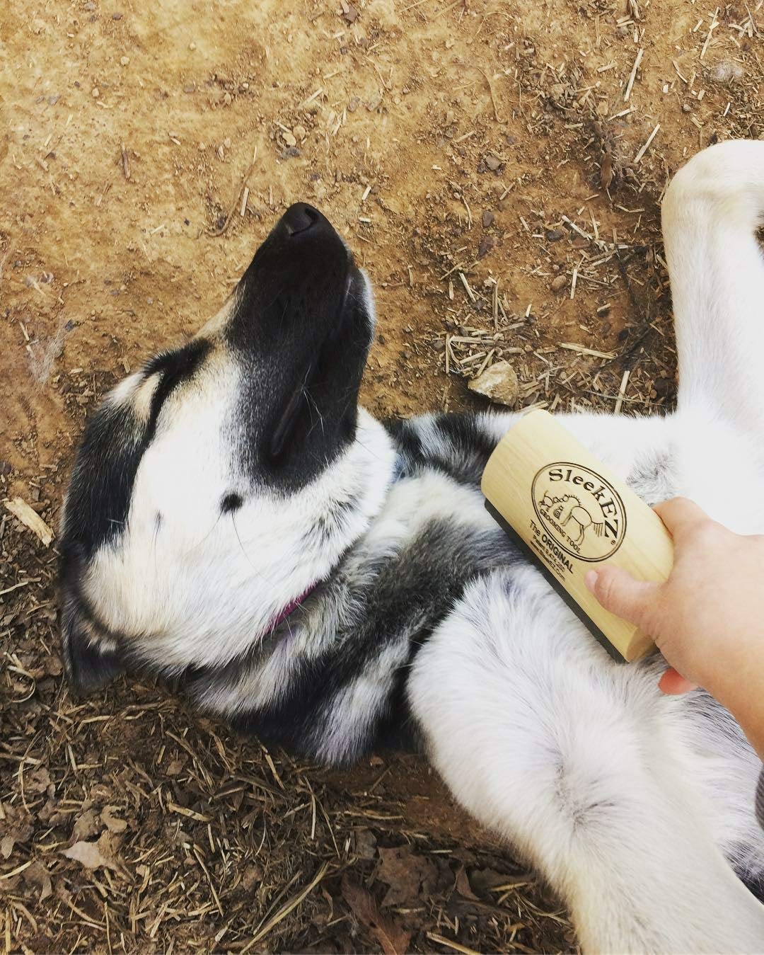 SleekEZ Ultimate Pet Grooming Brush