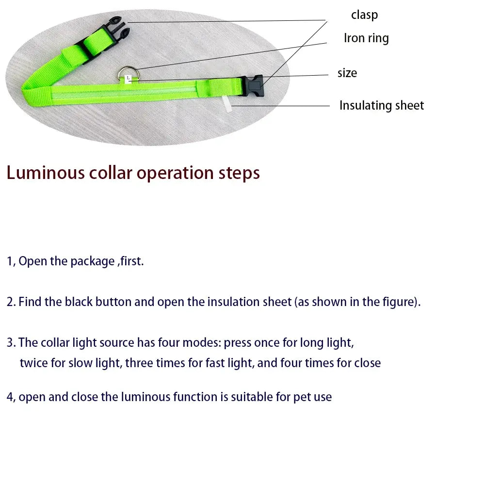 Flashing Dog Collar