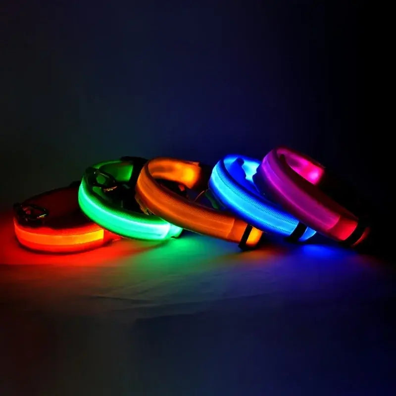 Flashing Dog Collar