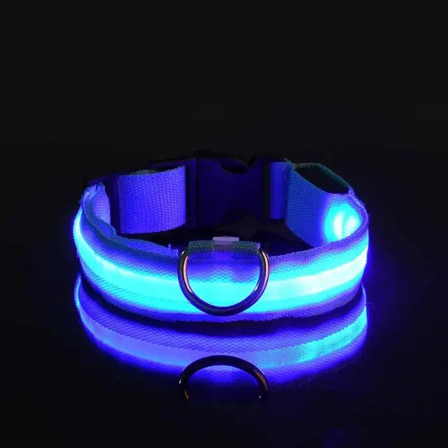 Flashing Dog Collar