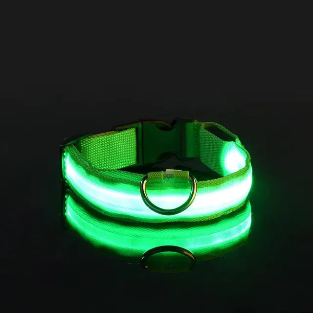 Flashing Dog Collar