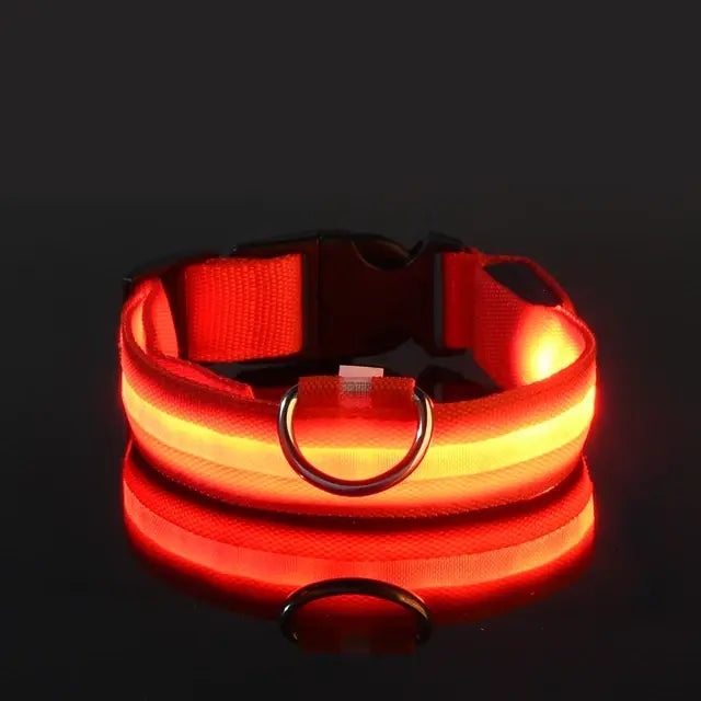 Flashing Dog Collar