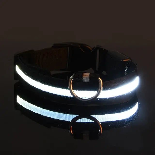 Flashing Dog Collar