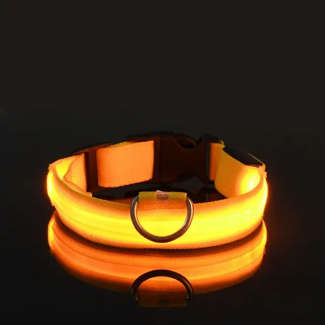 Flashing Dog Collar