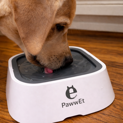 Pawwet No-Spill Bowl™